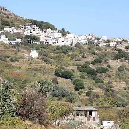 Matina - Stavros Traditional